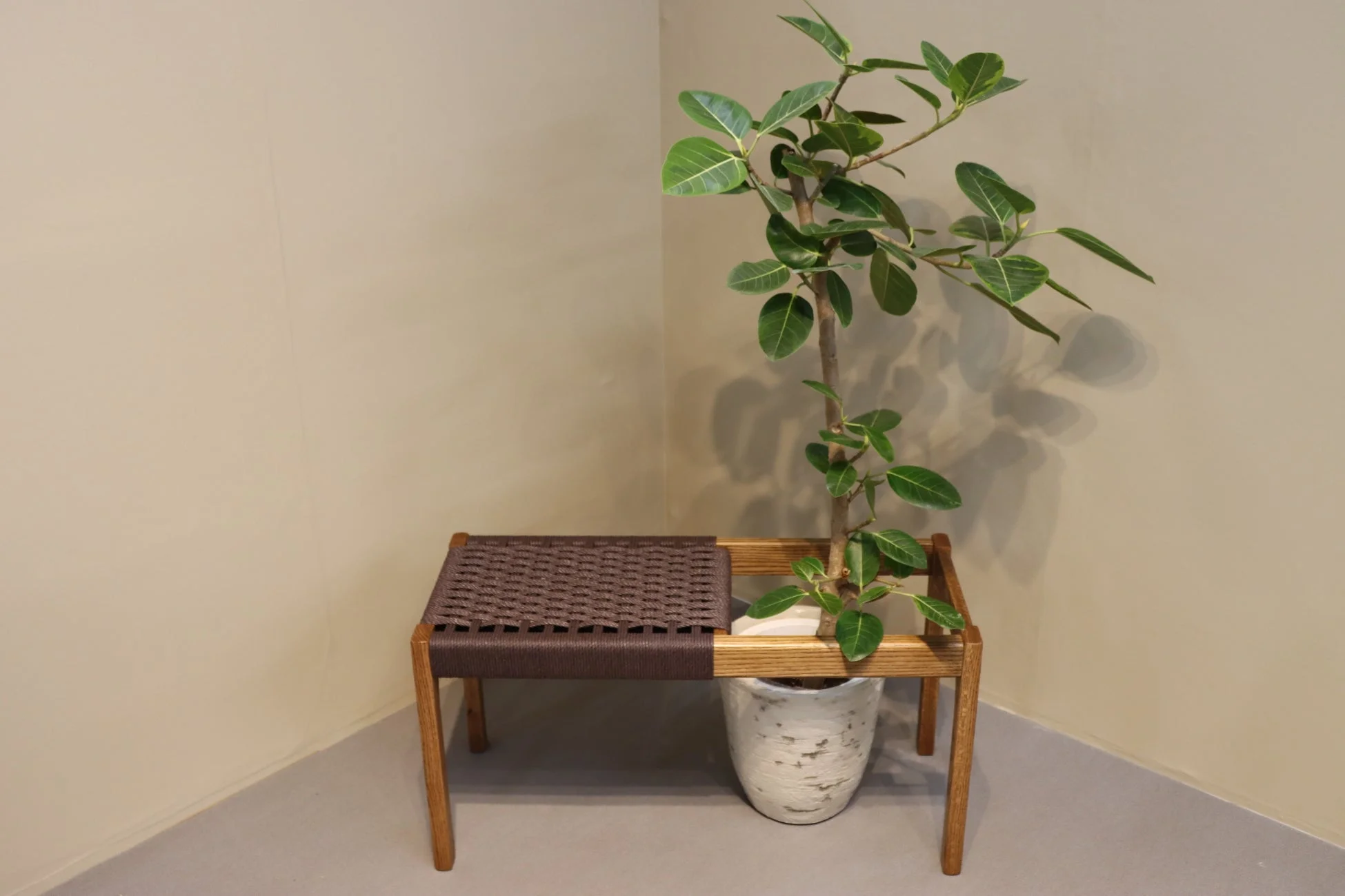 グリーンや好きなものに囲まれる癒しスペース家具