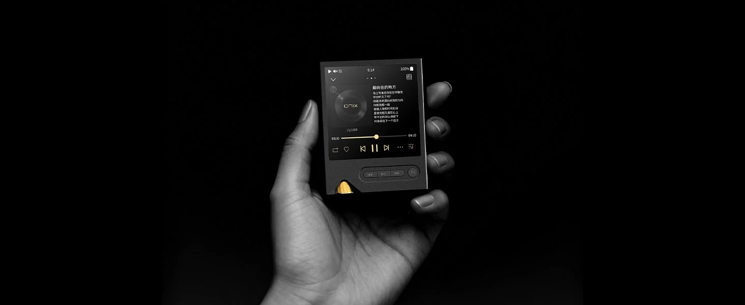 手でONIXのDAPを握っている画像