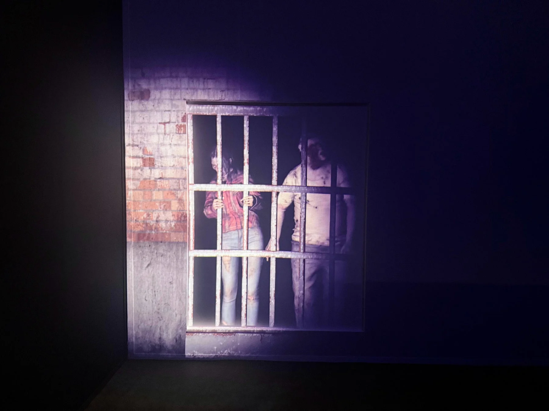 鉄格子の窓に投影された人物