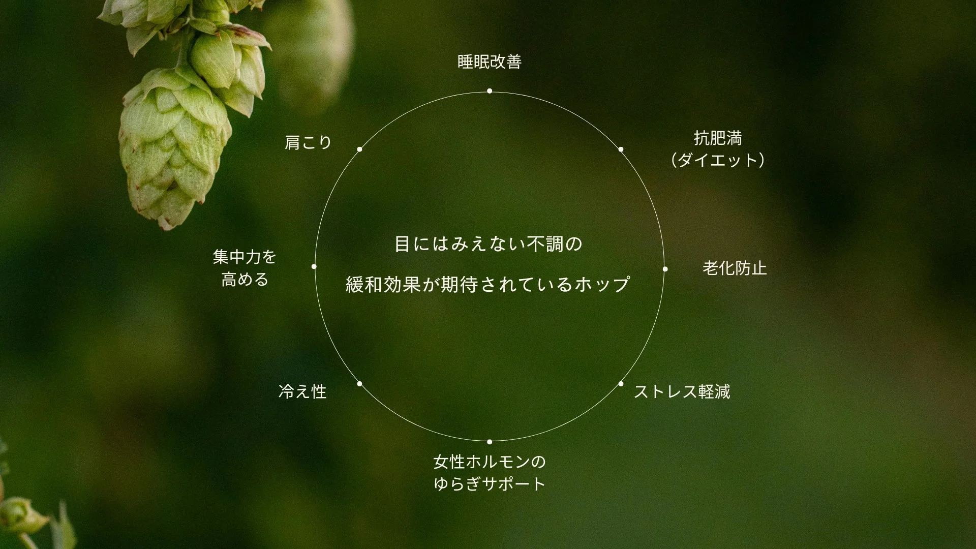 ホップの様々な健康効果を示す図