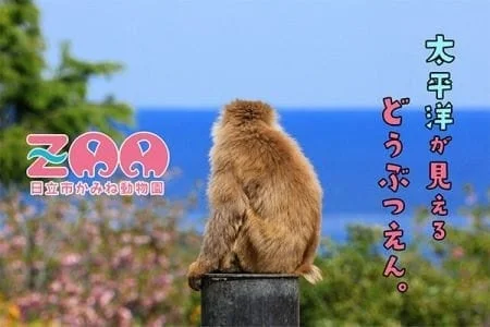 日立市かみね動物園の猿と太平洋の画像