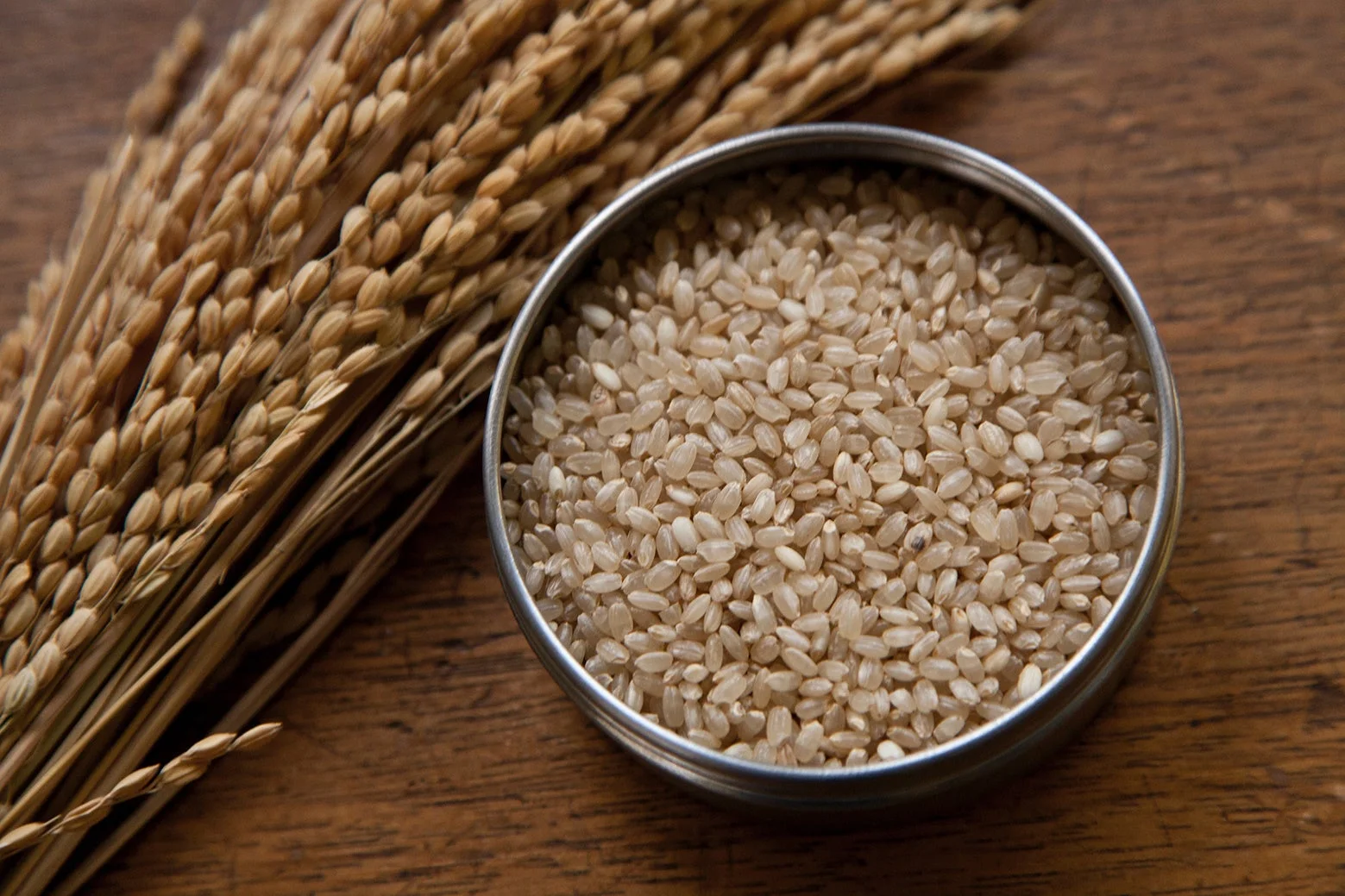 稲穂と金属製の器に入った玄米
