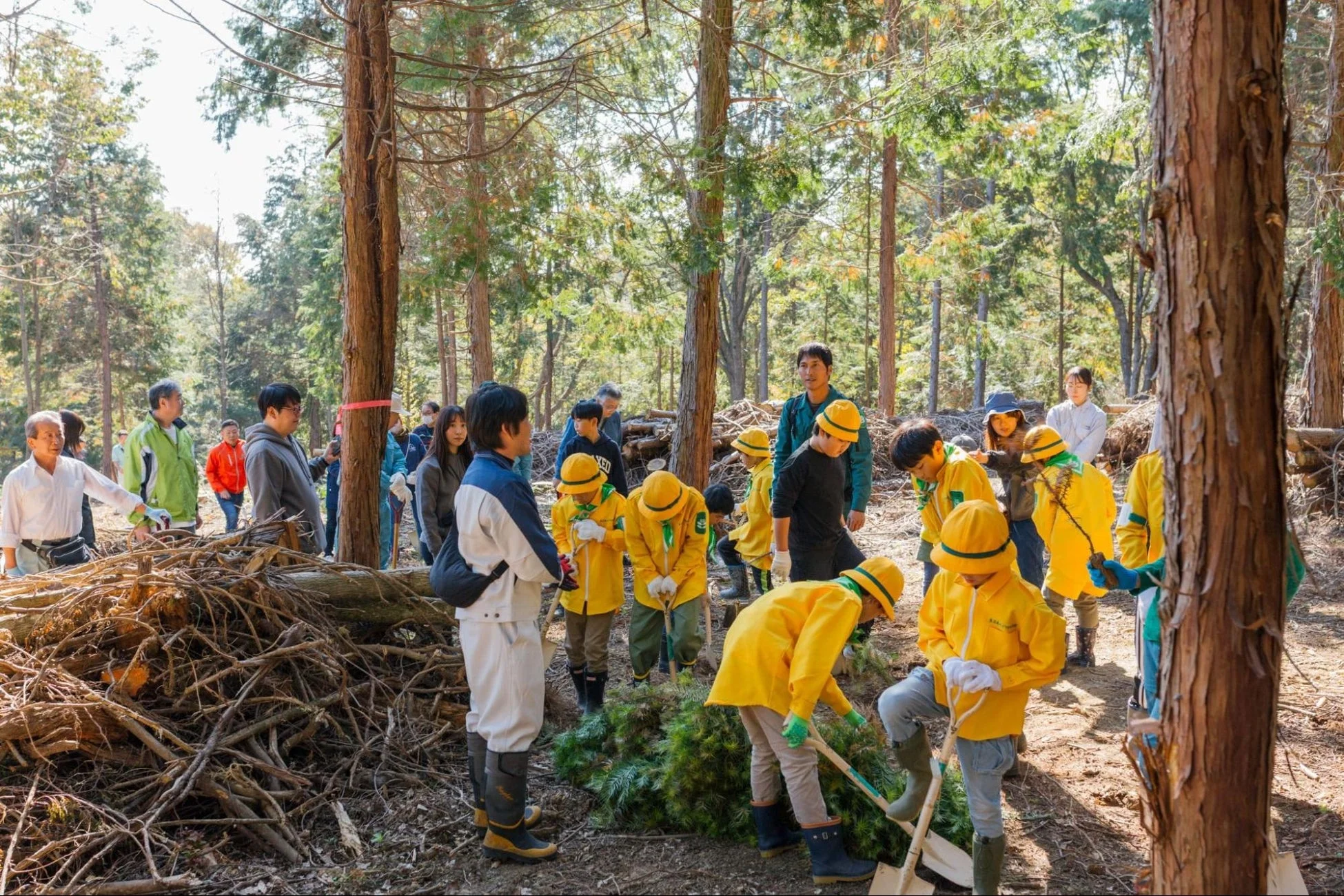 植林活動の様子