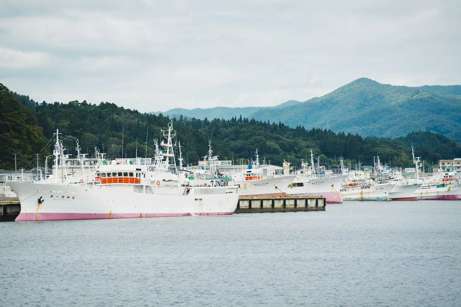 漁船が停泊している様子