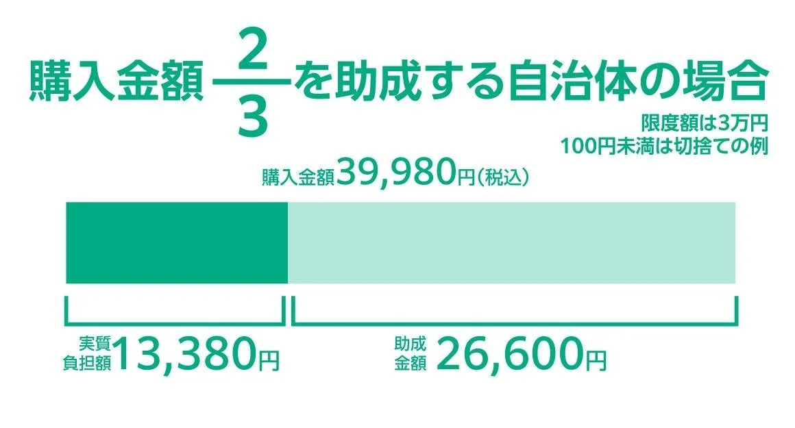 助成金の費用計算例