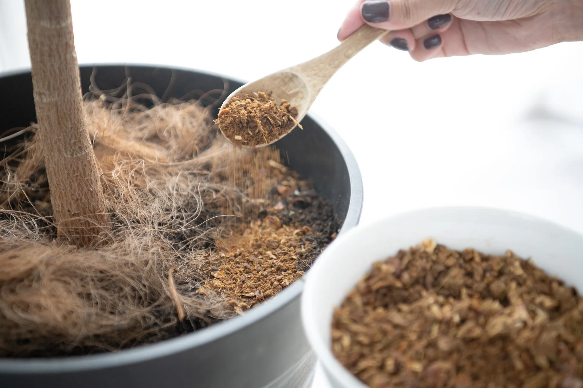 堆肥として再利用できる処理後の生ゴミ