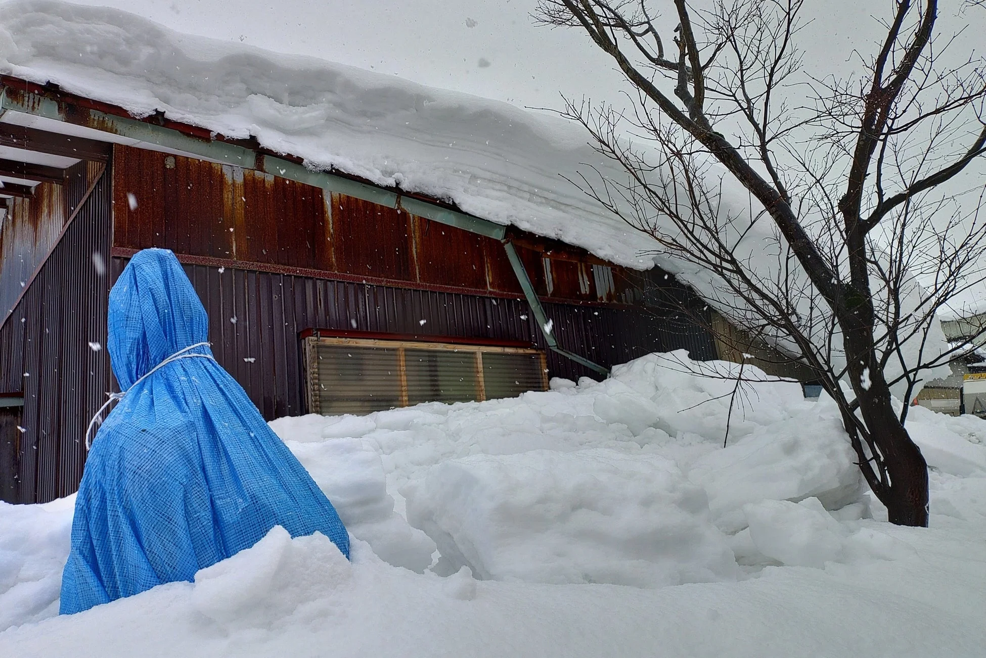 雪に埋もれた建物と青いシート