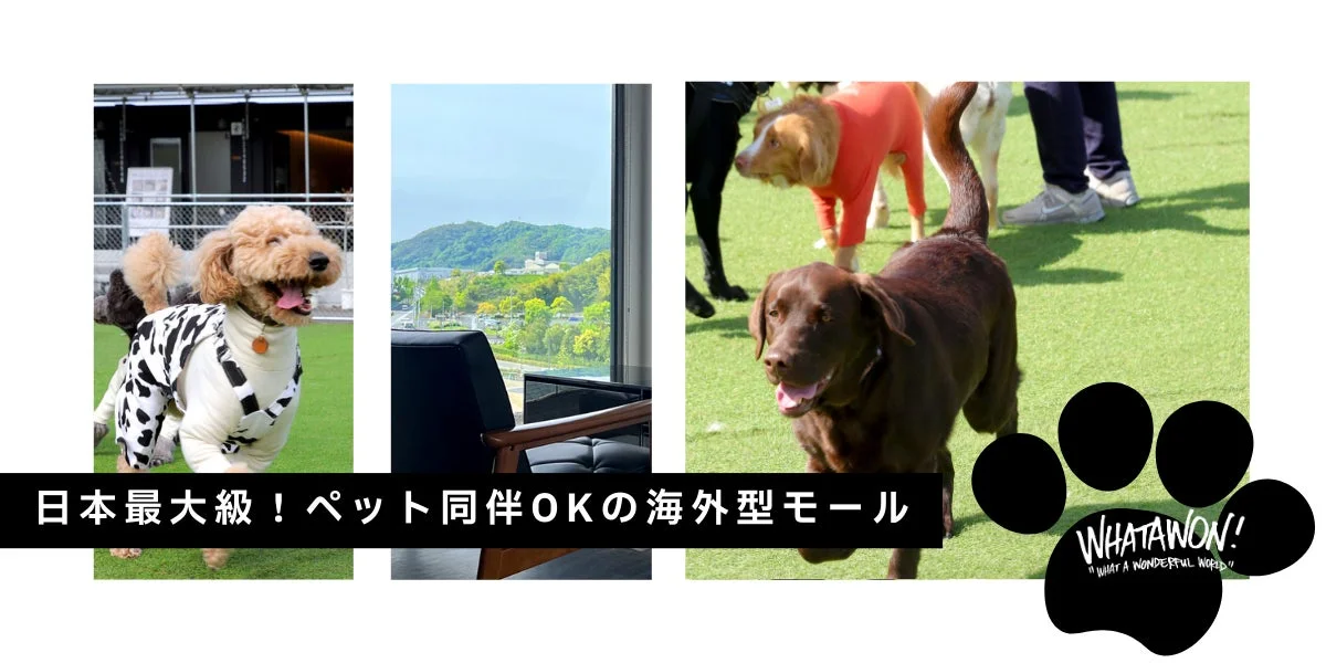 WHATAWONの施設と犬